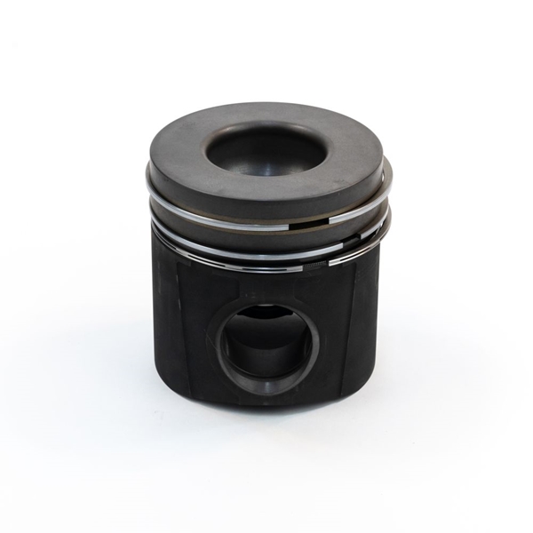 12343664 - PISTON