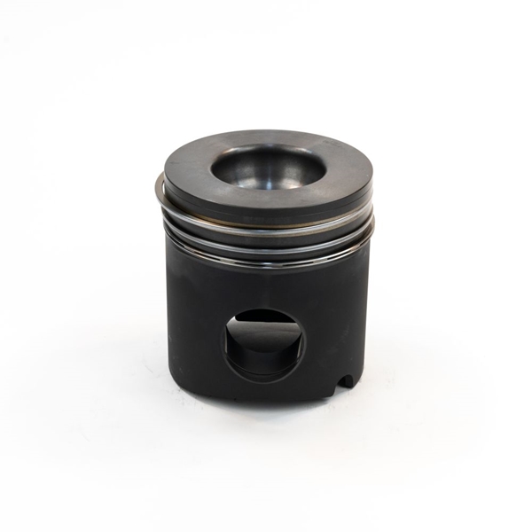 12454726 - PISTON